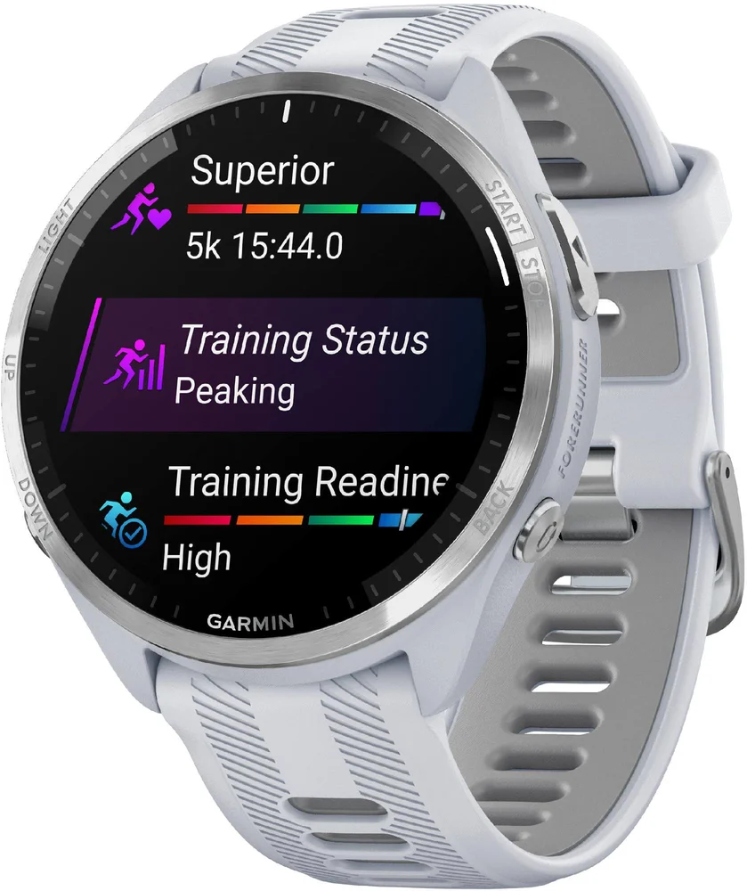 Forerunner 965 v:860324