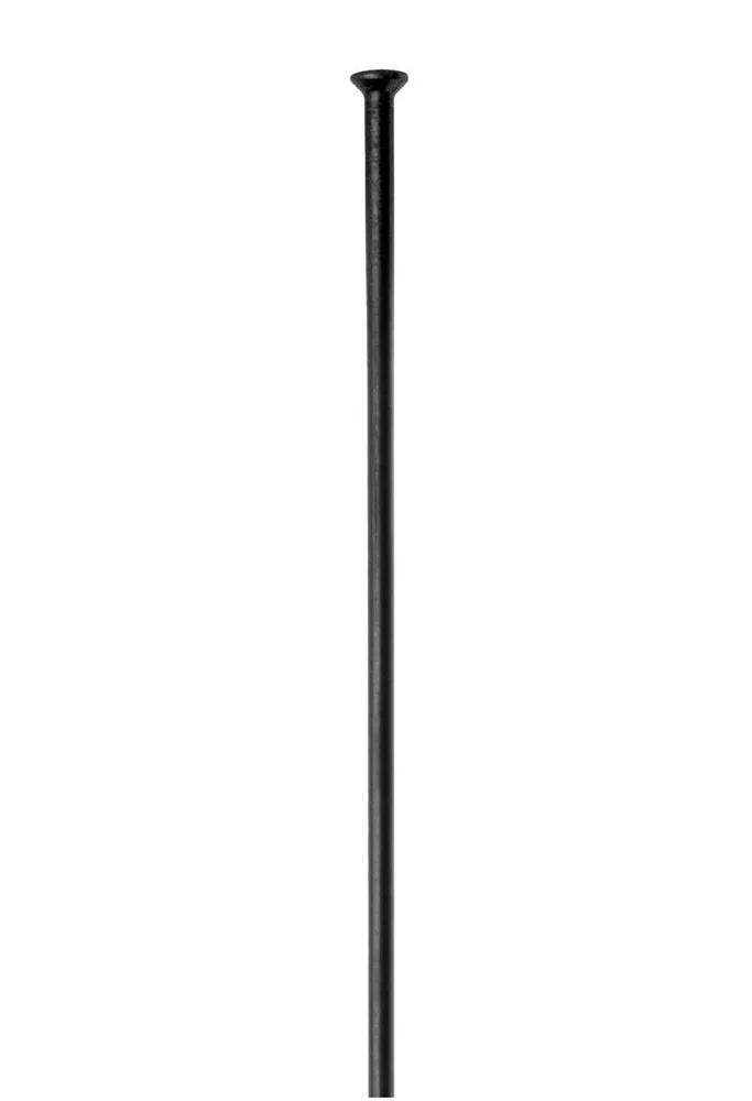 Champion SP Sorte Eiker v:4028539