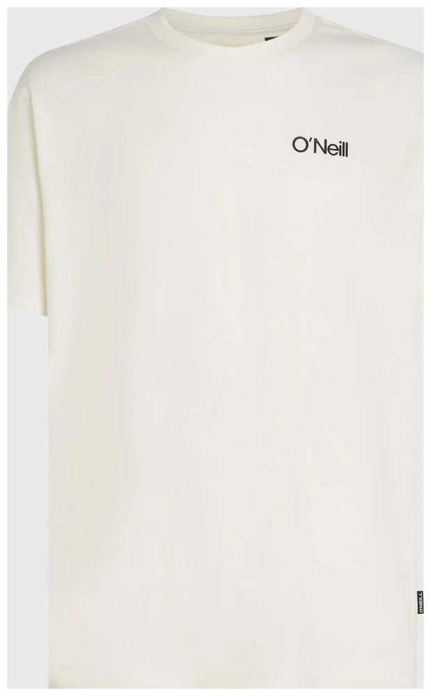 Polygiene Cotton T-Shirt M’s v:1928638