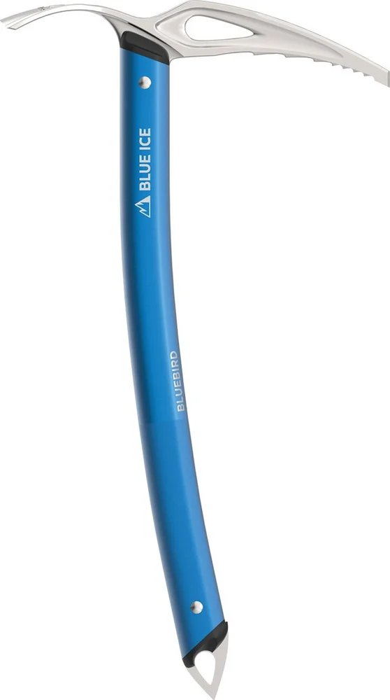 Bluebird v:1929070 Bluebird v:1929070