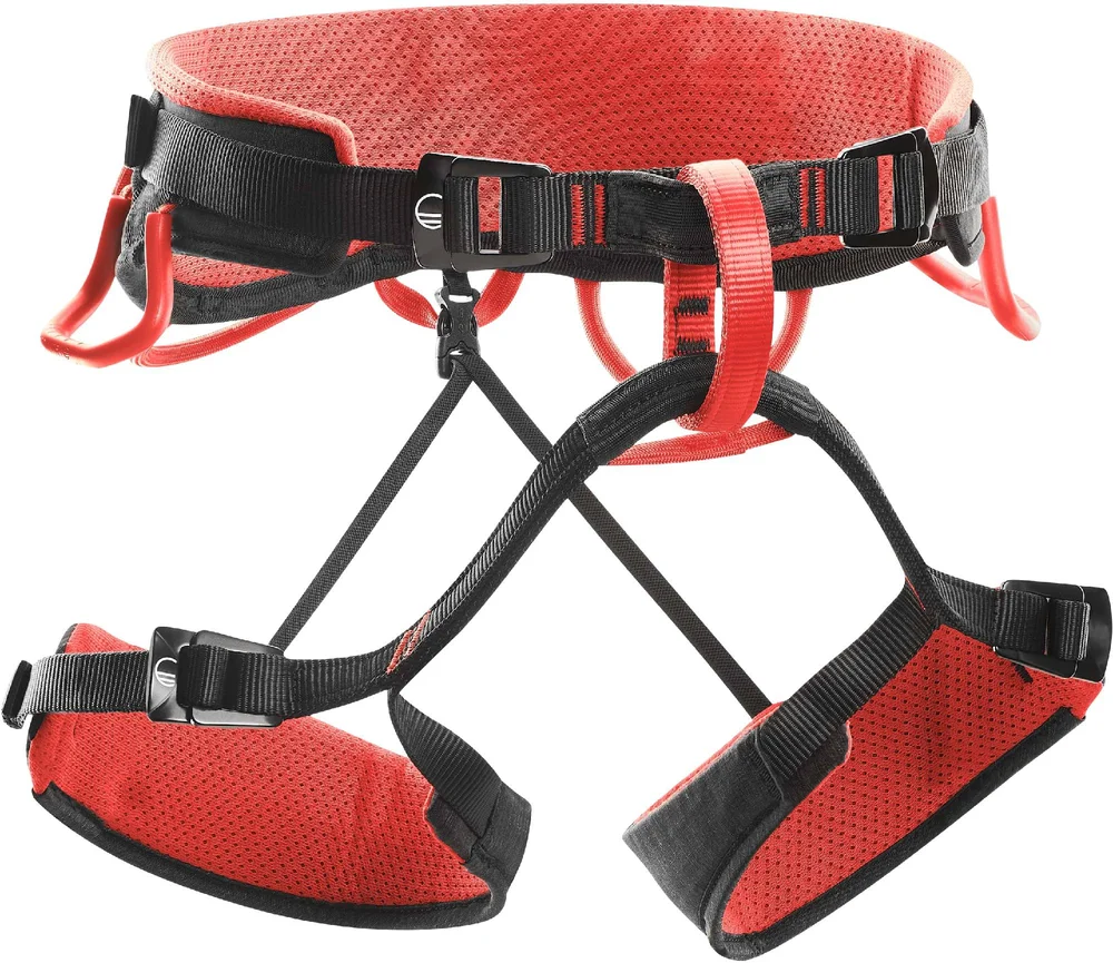 Syncro harness v:6634873 Syncro harness v:6634873